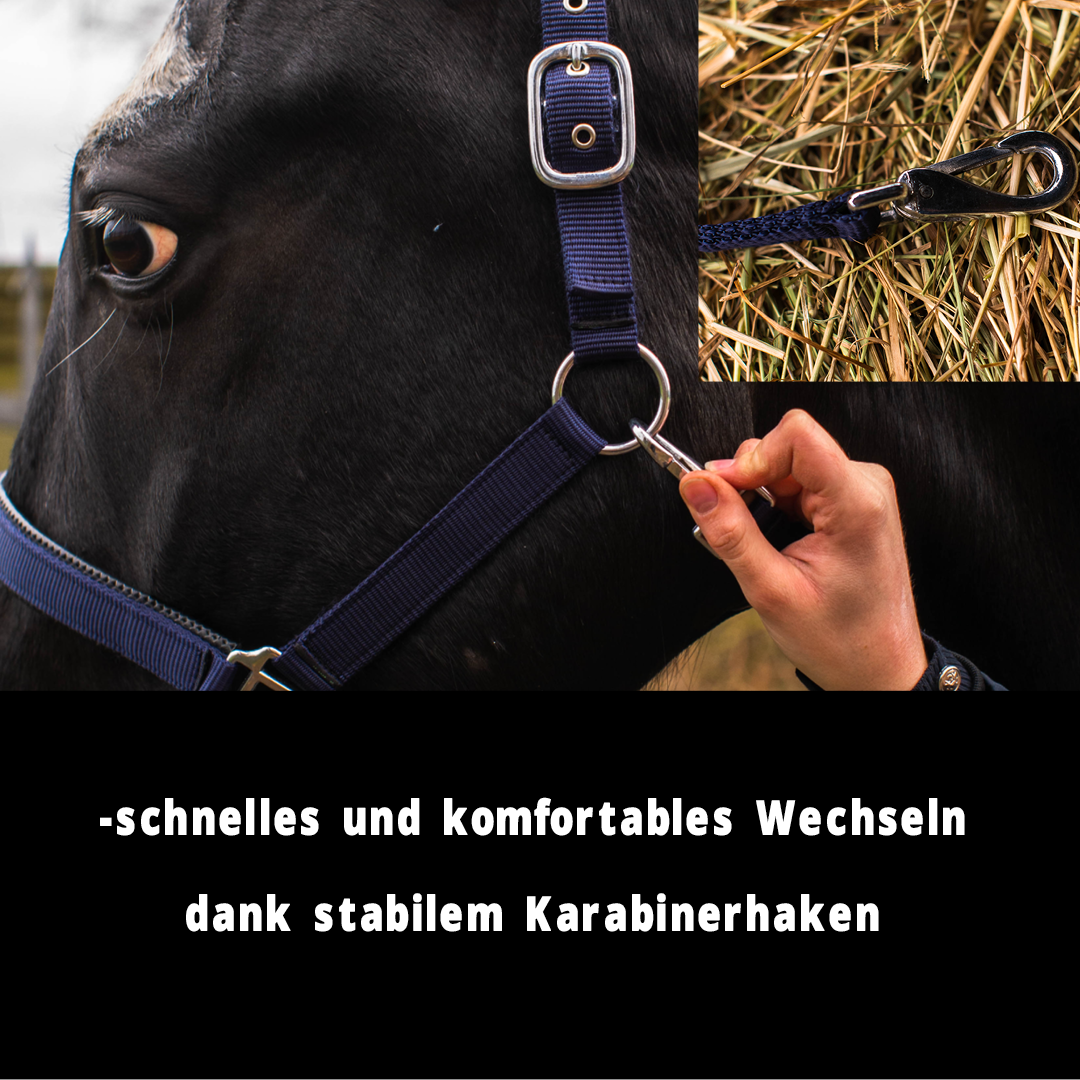Halfter 2-Fach verstellbar mit Dornschnallen